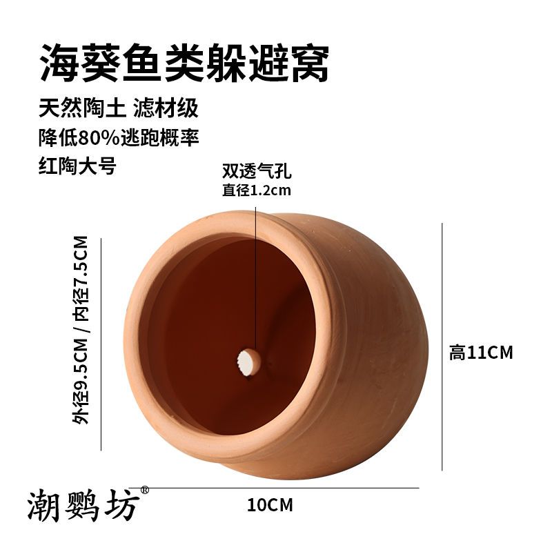 海葵躲避窝